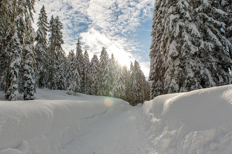 Escursioni invernali al Das Hotel Eden di Seefeld