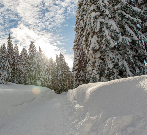 Escursioni invernali al Das Hotel Eden di Seefeld