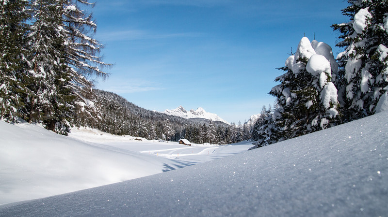 Wintererlebnisse im Das Hotel Eden 