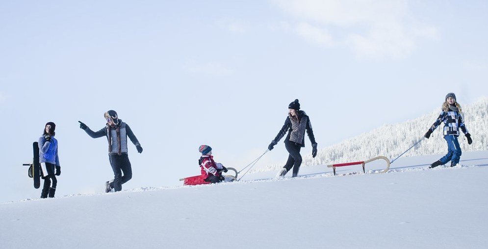 Rodeln in der Olympiaregion Seefeld 