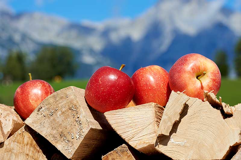 Äpfel mit Bergen im Hintergrund im Das Hotel Eden