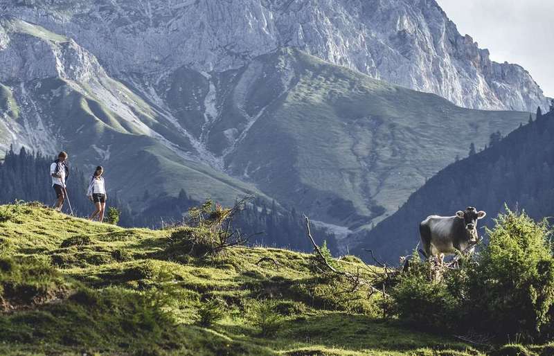 Escursioni rilassate in Tirolo